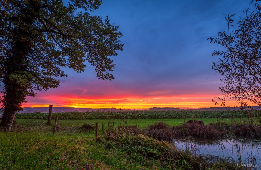 sunset-pond